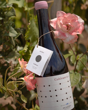 
            
                Load image into Gallery viewer, Cultivare Rosé - Life on hold
            
        
